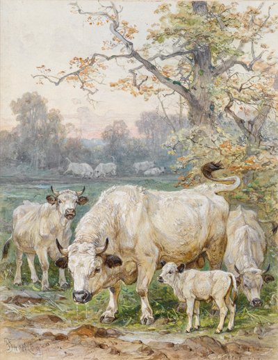 Park Cattle by August Specht